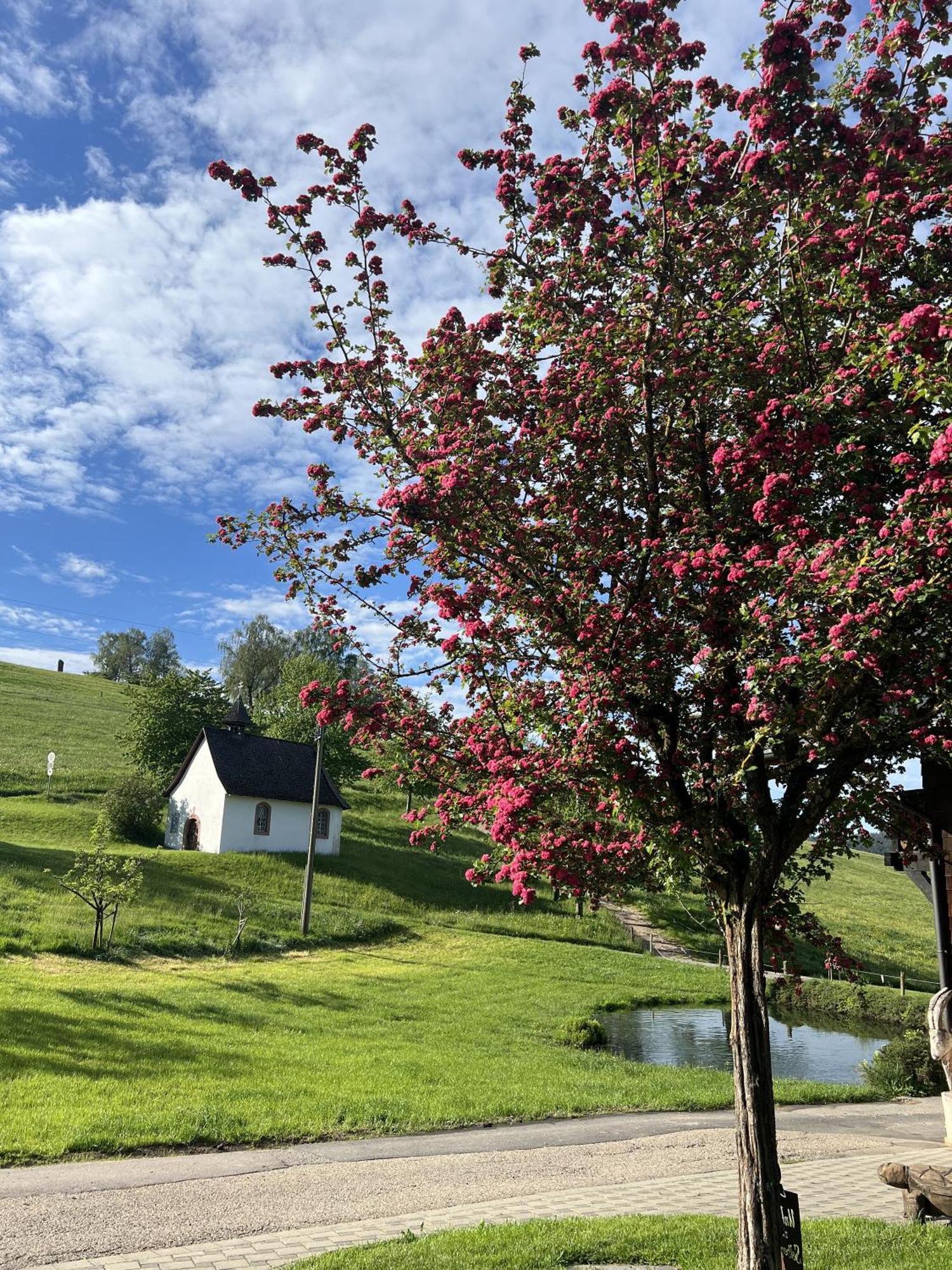 Kapellenhof Ferienwohnungen Triberg im Schwarzwald Exterior photo